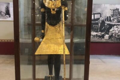 Cairo City Tour Egyptian Museum , Coptic Cairo and Bazaar