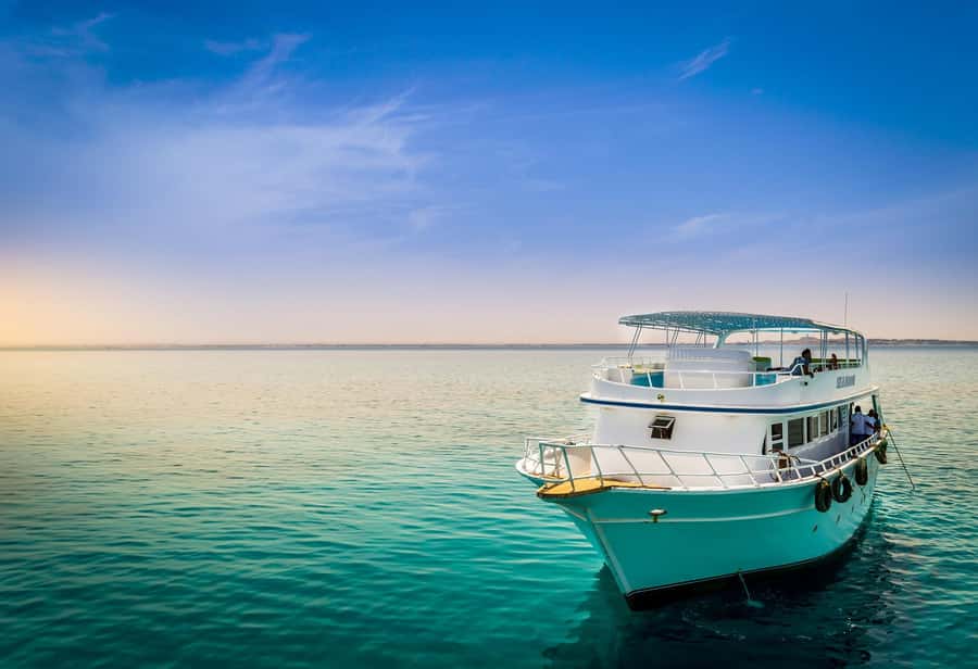 Cairo: Day Tour to the Red Sea with Lunch - Who should book this Red Sea day?