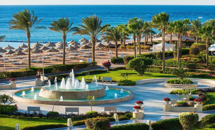 Cairo: Day Tour to the Red Sea with Lunch - Why Ain Sokhna makes a good break from Cairo