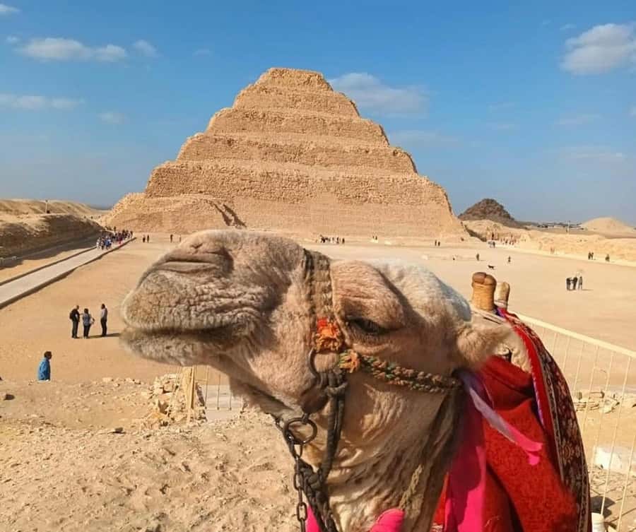 Cairo: Djoser, Bent Pyramid & Memphis Day Trip - Saqqara and the first great stone pyramid
