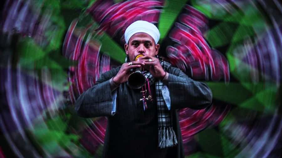 Cairo: Egyptian Heritage Tanoura Dancing Troupe Show - Who should book this Cairo evening?