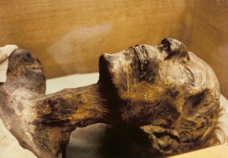 Cairo: Egyptian Museum 4-Hour Private Tour with Transfer - Practical tips for a better four hours