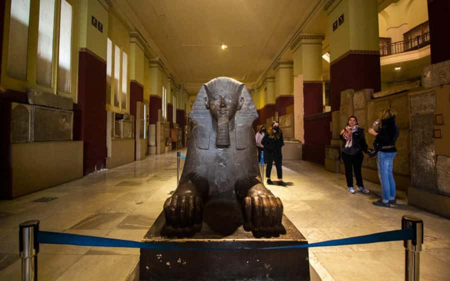Cairo: Egyptian Museum Private Half Day Guided Tour - Transport through Cairo and the value of hotel pickup