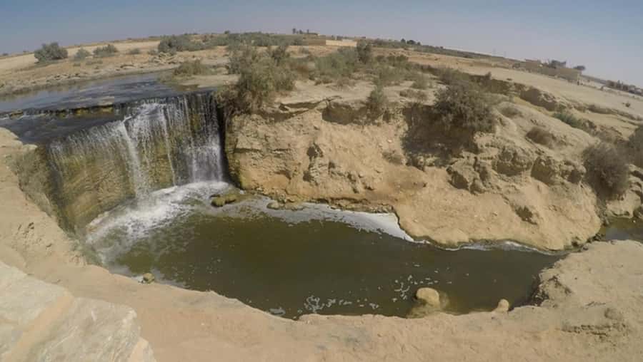 Cairo: Fayoum, Wadi El Rayan, and Wadi al Hitan 4x4 Tour - Quick take: what makes this Fayoum trip worthwhile