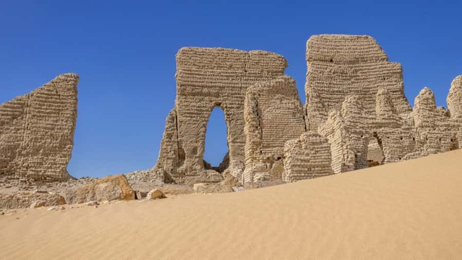 Cairo: Fayoum, Wadi El Rayan, and Wadi al Hitan 4x4 Tour - Wadi al Hitan: why the whale fossils matter