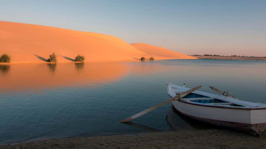 Cairo: Fayoum, Wadi El Rayan, and Wadi al Hitan 4x4 Tour - Is $336 per person good value?