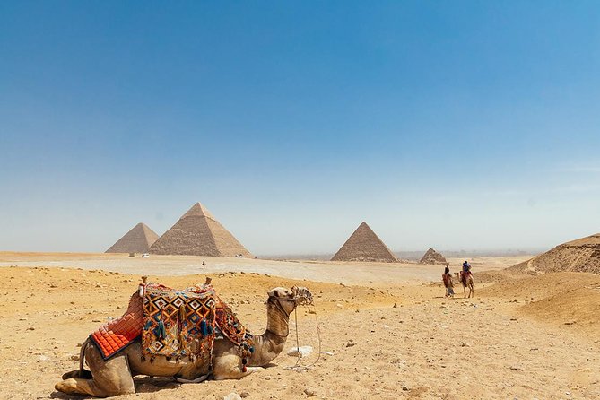 Cairo Full-Day Tours to Giza Pyramids ,Egyptian Museum & Bazaar - The Egyptian Museum: three hours with Tutankhamun