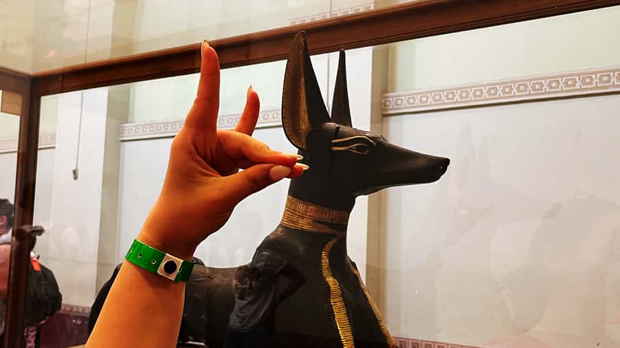 Cairo: Giza Pyramids, Egyptian Museum & Nile Dinner Cruise. - The guide and driver can shape the whole day