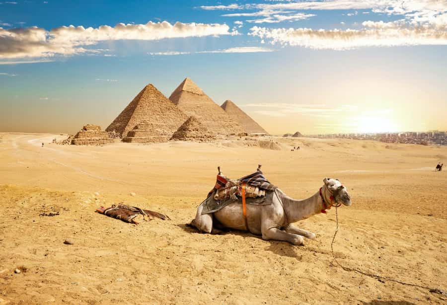 Cairo: Giza Pyramids, Memphis, Saqqara Private Tour & Lunch - Who should book this experience?