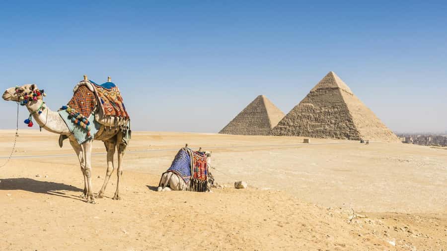 Cairo: Giza Pyramids, Memphis, Saqqara Private Tour & Lunch - The 8:00 AM pickup and private car