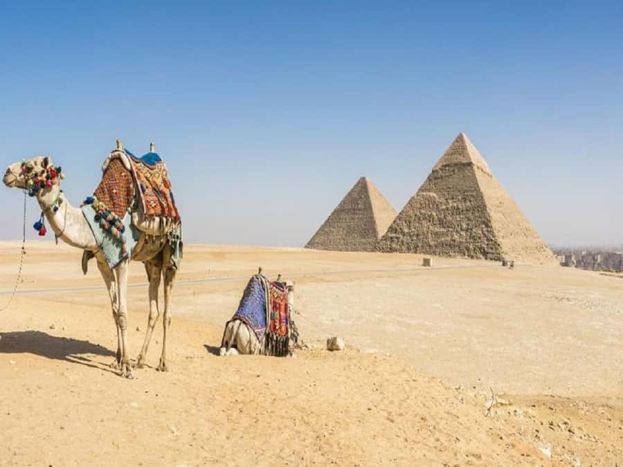 Cairo: Giza Pyramids, Sakkara & Dahshur All-Inclusive Tour - Giza’s Great Pyramids and panoramic viewpoint