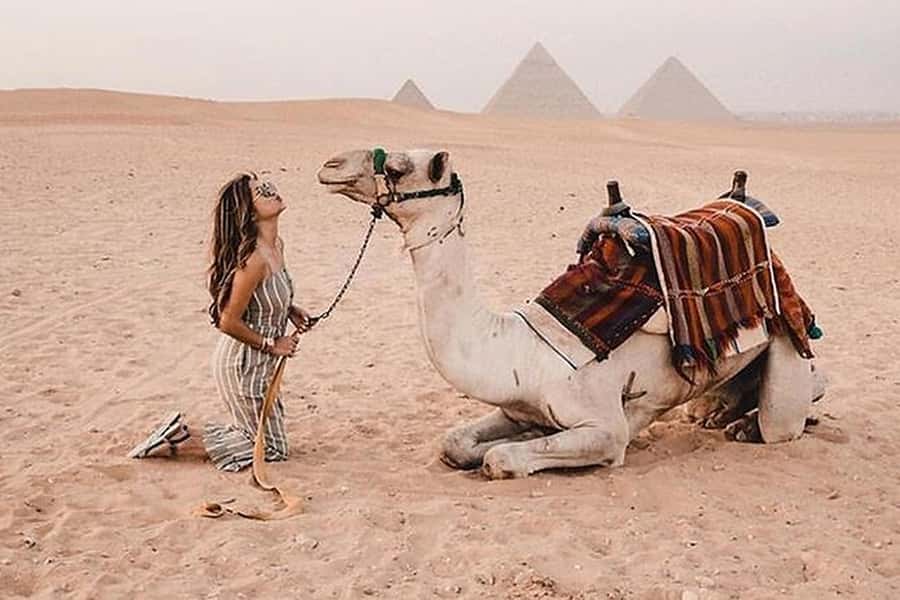 Cairo: Grand Egyptian Museum, Giza Pyramids and Sphinx Tour - Who should book this tour