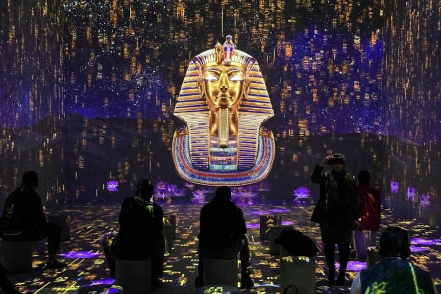 Cairo: Grand Egyptian Museum QR Ticket - The Tutankhamun experience has mixed appeal