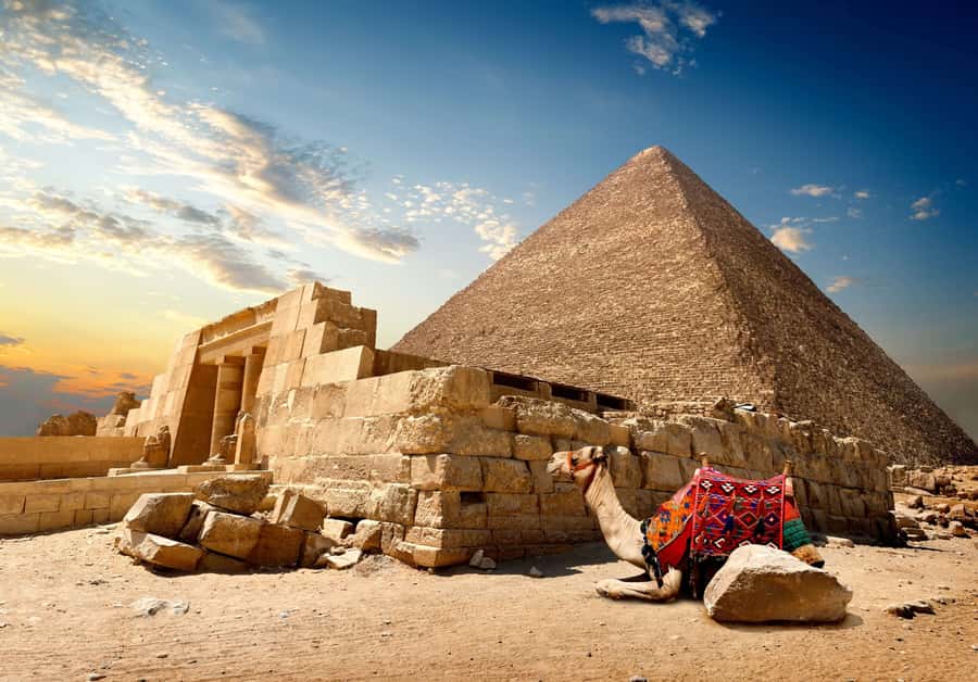Cairo: Great Pyramids of Giza and Egyptian Museum Tour - The Egyptian Museum, where the objects fill in the gaps