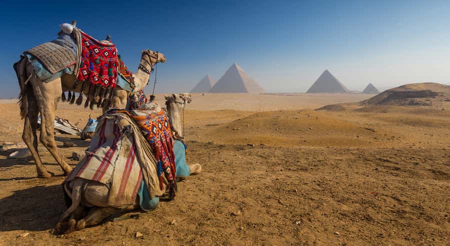 Cairo: Great Pyramids of Giza and Egyptian Museum Tour - The Great Pyramids of Giza, three rulers in stone