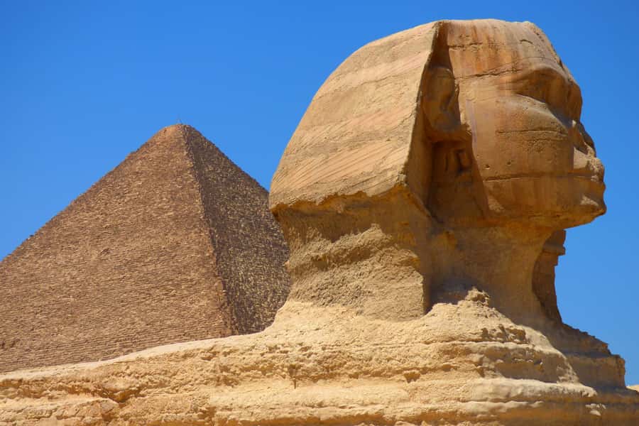 Cairo: Half Day Pyramids Tour by Camel or Horse Carriage - Lunch and photographer add-ons