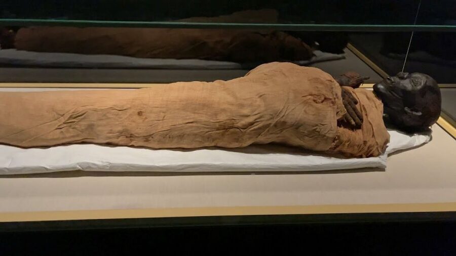 Cairo: National Museum of Egypt Skip-the-Line QR Ticket - The Royal Mummies Hall is the main event