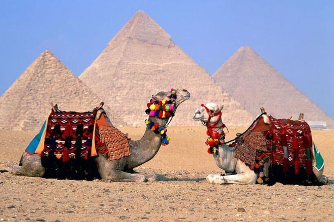 Cairo Over day Pyramids & Egyptian Museum and Lunch - Hurghada - What the $28 price really includes