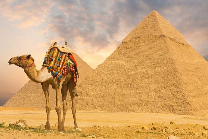 Cairo Over day Pyramids Sphinx and Museum With Lunch - Hurghada - A Cairo day trip that starts before sunrise