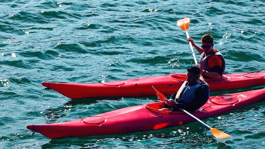 Cairo: Private Nile Kayaking Adventure with hotel transfers. - How much value do you get for $52?