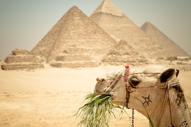 Cairo Private Tours To Giza Pyramids,Egyptian Museum & Bazaar - Ending among the lanes of Khan El-Khalili