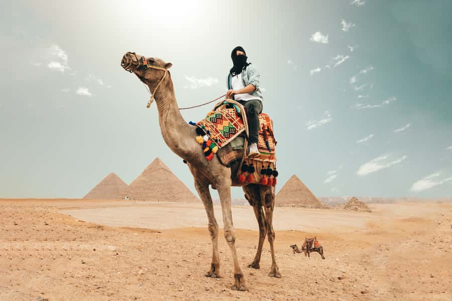 Cairo: Pyramids, Bazaar, Citadel Tour with Photographer - Lunch and the day’s first practical choices