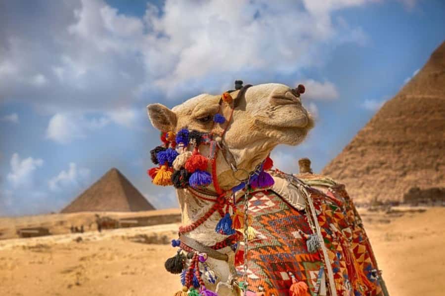 Cairo: Pyramids & Great Sphinx Private Tour with Camel Ride - Meeting the pyramids of Cheops, Chephren, and Mykrenes