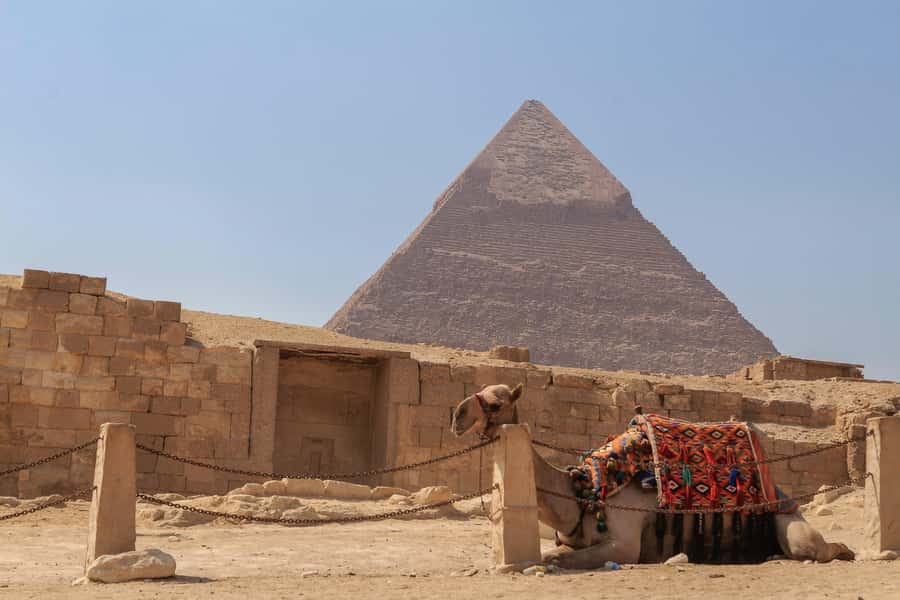 Cairo: Pyramids, Sphinx & Grand Egyptian Museum Private Tour - Who should book this Cairo tour?