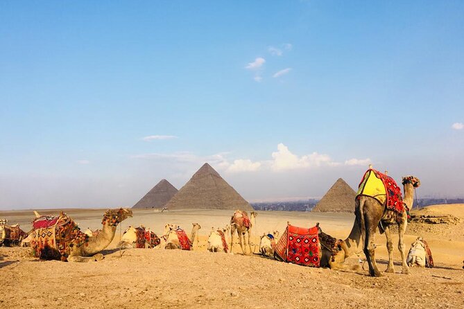 Cairo Sightseeing Tour (Giza Pyramids + Museum + Khan el Khalili Bazaar) - Lunch, camel ride, and costs that can change the value