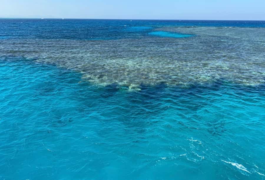 Cairo to Red Sea: VIP Yacht Cruise, Snorkeling & Lunch - From Cairo to Dome Marina in Ain Sokhna