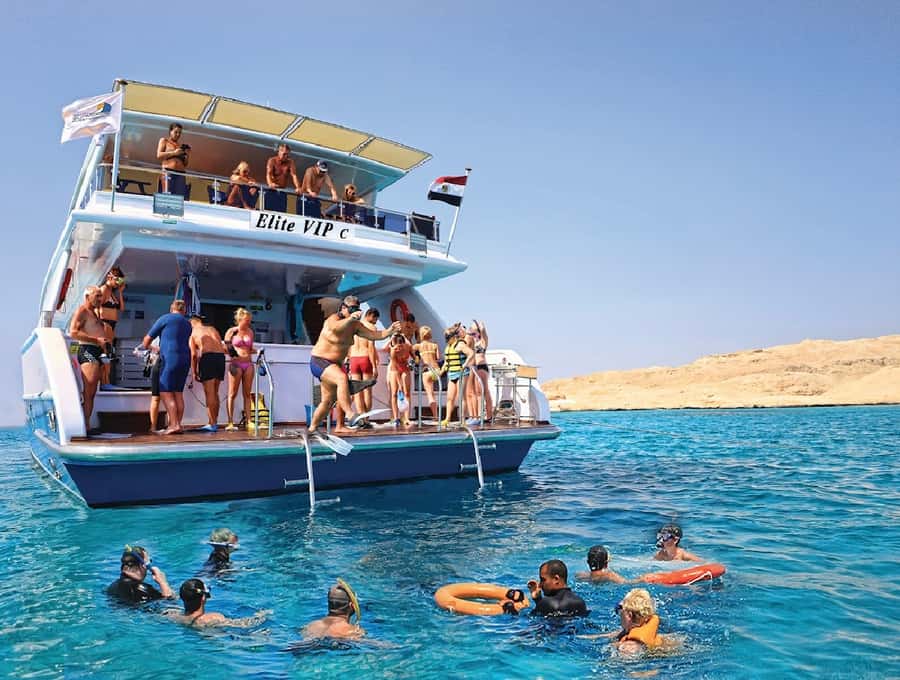 Cairo to Red Sea: VIP Yacht Cruise, Snorkeling & Lunch - Who Will Enjoy This Boat Trip Most?