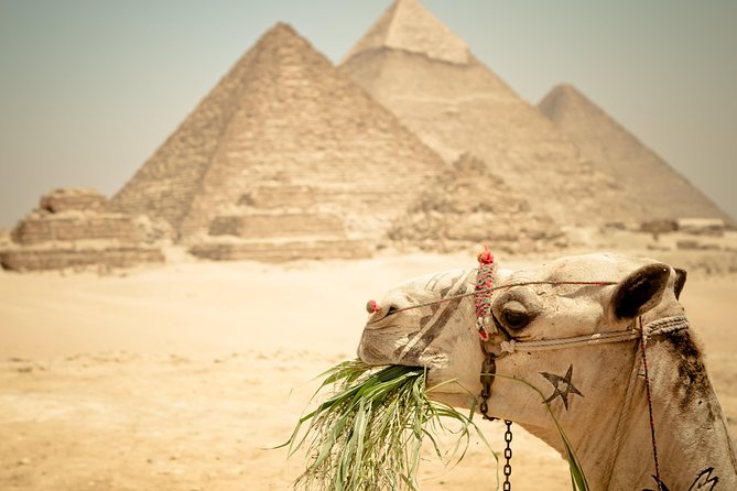 Camel Ride around the Pyramids During Sunrise Or Sunset - What this Giza camel ride actually offers