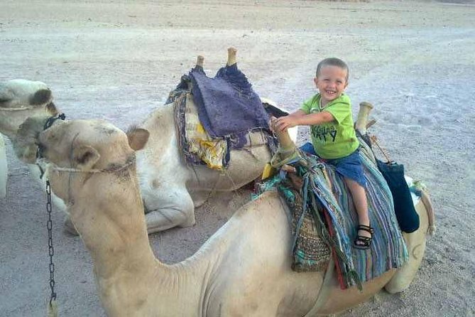 Camel ride & Bedouin dinner quad safari in Sharm el Sheikh - Leaving Sharm el Sheikh around 3:30 pm