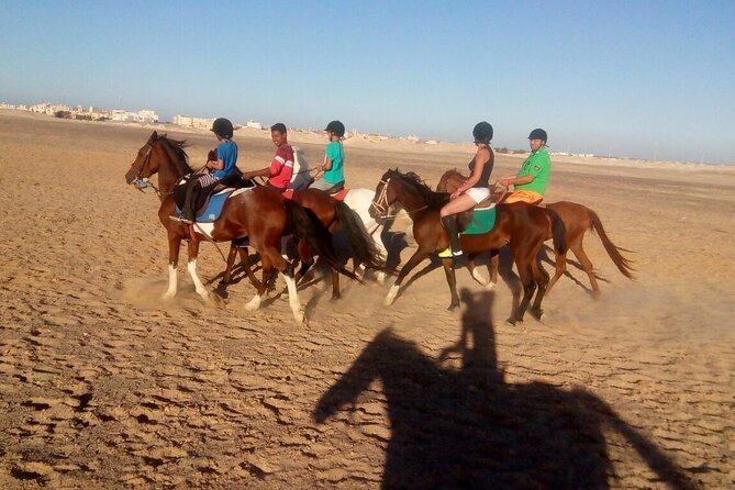 Camel ride & Bedouin dinner quad safari in Sharm el Sheikh - Riding the desert for about 90 minutes