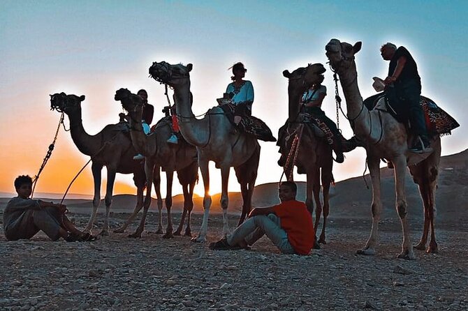 Camel Riding Tour in Luxor West Bank - Arriving at the stables on the West Bank