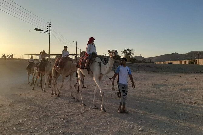 Camel Riding Tour in Luxor West Bank - Sunset tea among the desert dunes