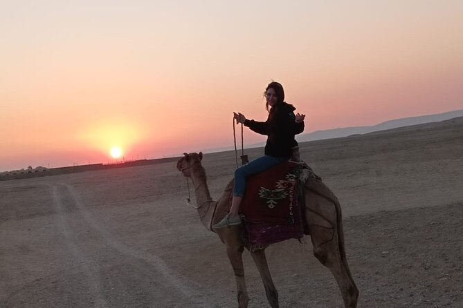 Camel Riding Tour in Luxor West Bank - How the guides and camels affect the experience