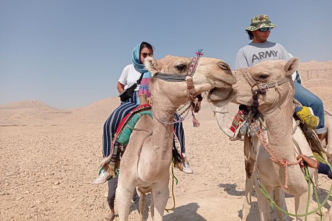 Camel Riding Tour in Luxor West Bank - Practical comfort advice for a better ride