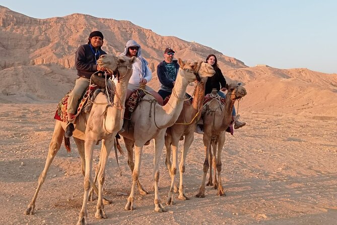 Camel Riding Tour in Luxor West Bank - Two- and three-hour rides into the West Bank countryside