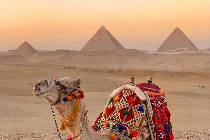 Cheap Private tour to Giza pyramids and the Sphinx - Hotel pickup and the private ride