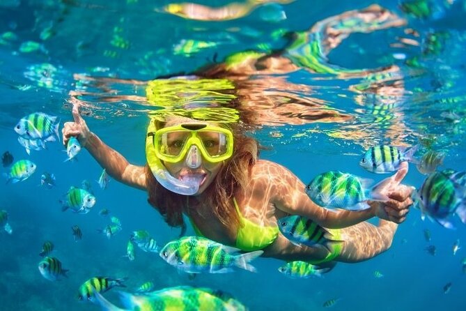 Conquest Semi Submarine Snorkeling Trip With transfer -Hurghada - Is $4.61 really the full price?