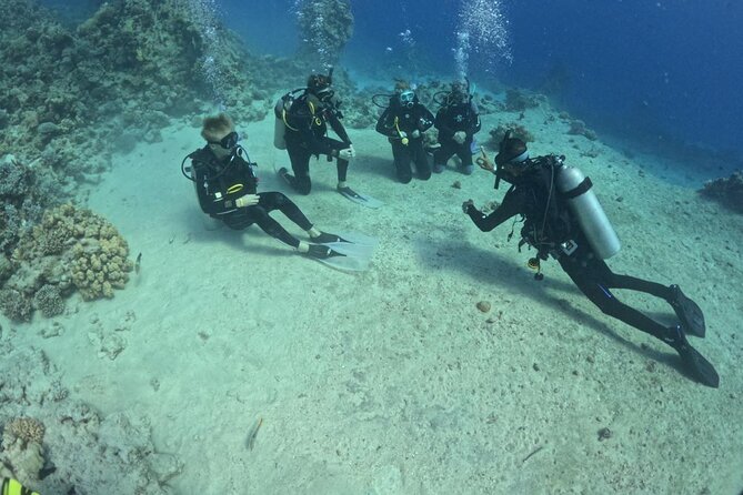 Course for Padi OW in Red Sea and Sinai - Key points before you book