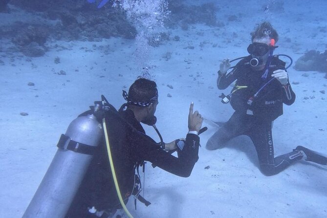 Course for Padi OW in Red Sea and Sinai - Starting at 8:00 am with pickup in Hurghada