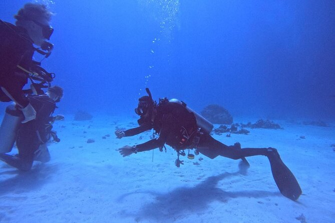 Course for Padi OW in Red Sea and Sinai - Confined-water practice builds useful confidence