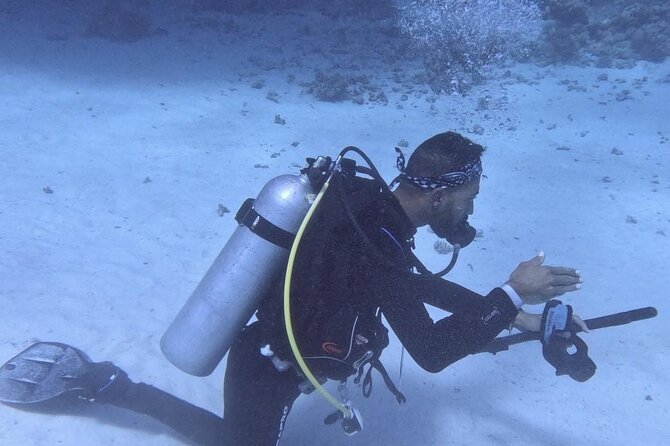Course for Padi OW in Red Sea and Sinai - Equipment familiarization before open water