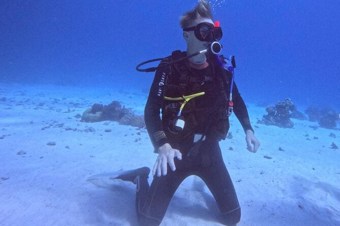 Course for Padi OW in Red Sea and Sinai - Lunch, drinks, music, and the boat-day rhythm