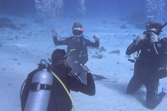 Course for Padi OW in Red Sea and Sinai - Safety, comfort, and the important fine print