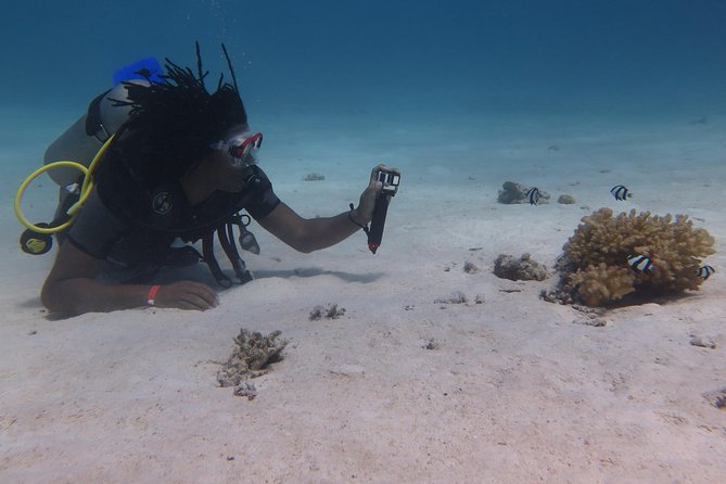 Daily 2 Dives with Equipment from Hurghada - The morning pickup sets the tone