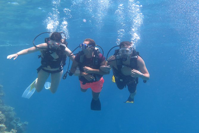 Daily 2 Dives with Equipment from Hurghada - The biggest question: 15 minutes or 45?