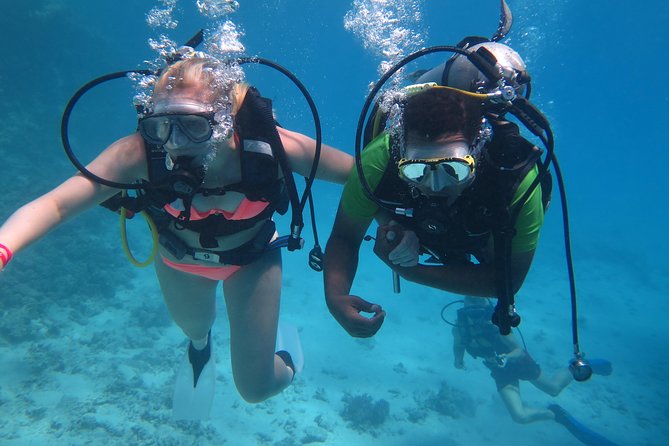 Daily 2 Dives with Equipment from Hurghada - Equipment and instruction